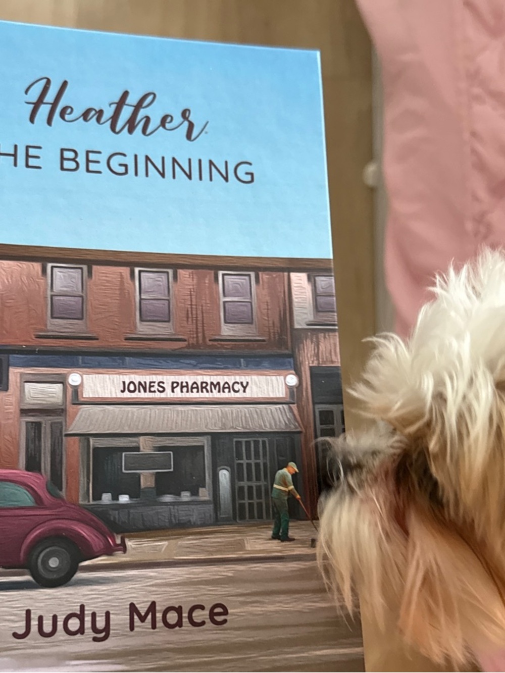 Heather The Beginning. The sequel to my first two  books and the Heather series